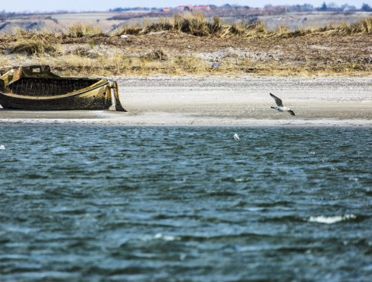 Silvio Bachmann Hochzeiten Hochzeitsfotografie Hochzeitsfotograf Trauungen Trauung Verlobung Verlobungen Standesamt standesamtliche Trauung Kirche kirchliche Trauung Paare Päärchen Paarfotografie Menschen Frauen Männer Portrait Portraits Portraitfotografie Bewerbungsbilder Reise Urlaub Reisefotografie Kunst Fineart Drucke Architektur Hamburg Deutschland Rostock Mecklenburg Vorpommern Schleswig Holstein Oberlausitz Sachsen Zittau Löbau 