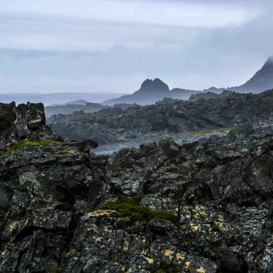 Silvio Bachmann Hochzeiten Hochzeitsfotografie Hochzeitsfotograf Trauungen Trauung Verlobung Verlobungen Standesamt standesamtliche Trauung Kirche kirchliche Trauung Paare Päärchen Paarfotografie Menschen Frauen Männer Portrait Portraits Portraitfotografie Bewerbungsbilder Reise Urlaub Reisefotografie Kunst Fineart Drucke Architektur Hamburg Deutschland Rostock Mecklenburg Vorpommern Schleswig Holstein Oberlausitz Sachsen Zittau Löbau 